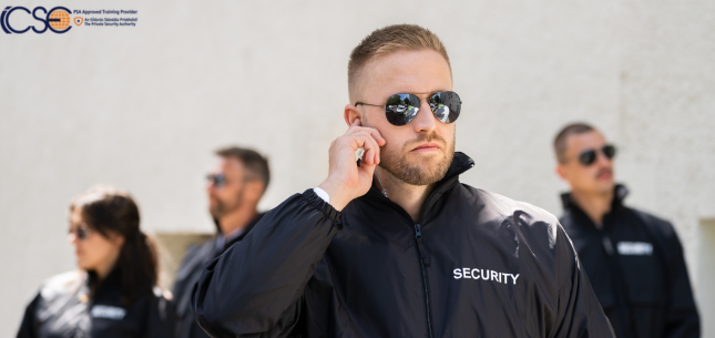 7 Reasons Why Security Industry Is a Reliable Career Choice in Ireland